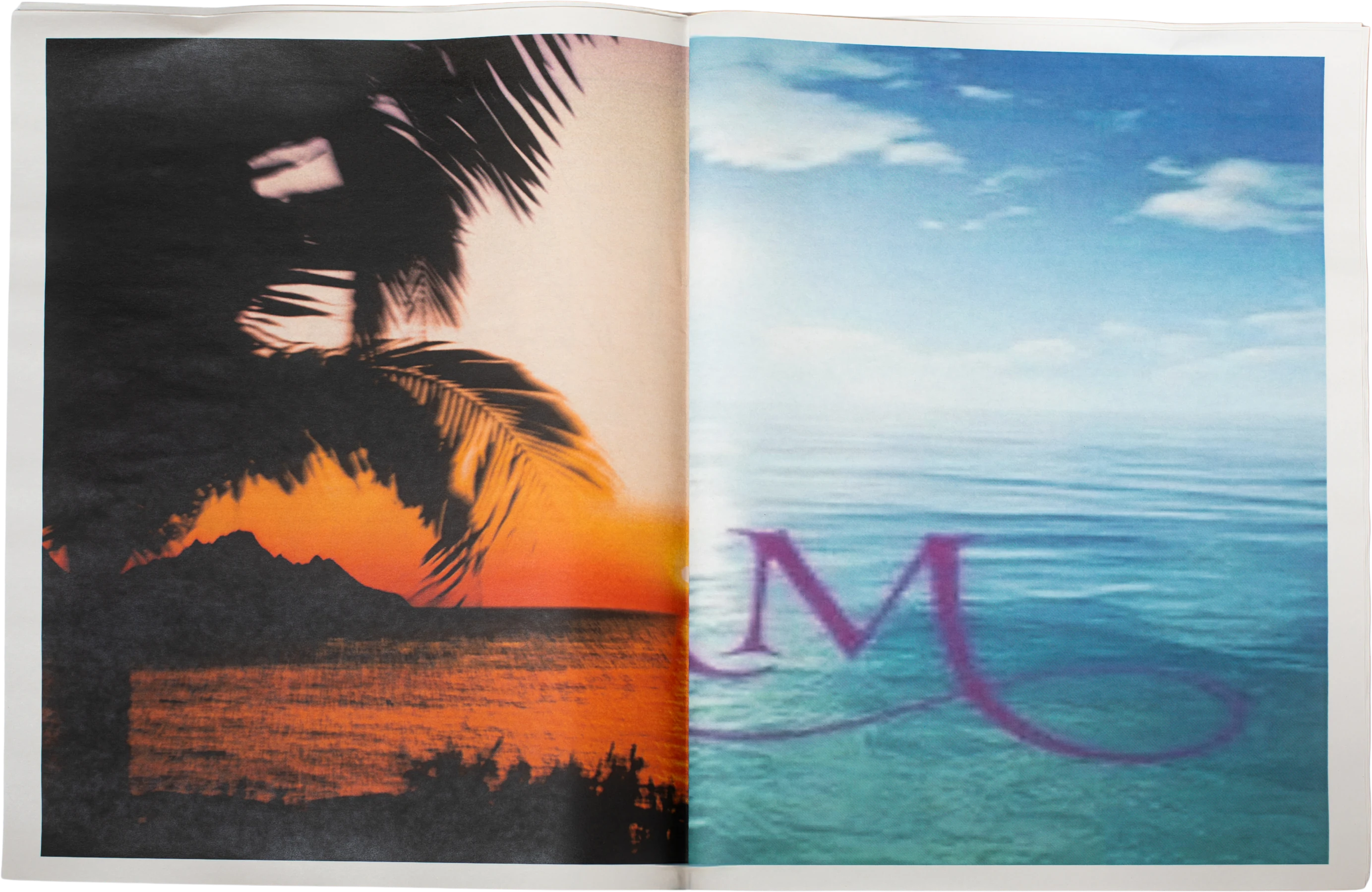 Palm sunset I AM spread