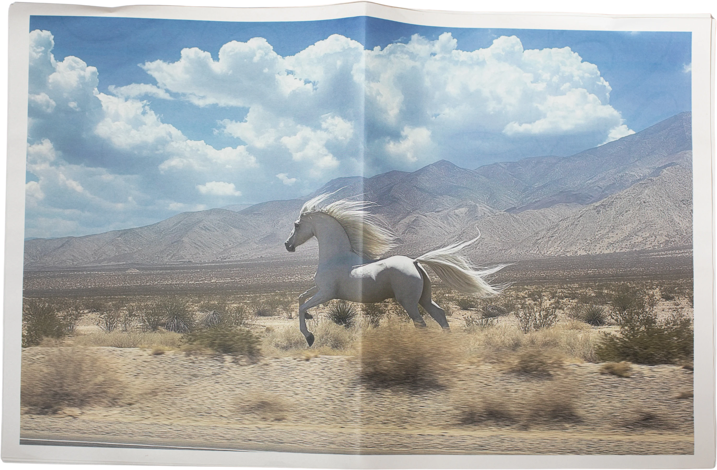 White horse desert spread