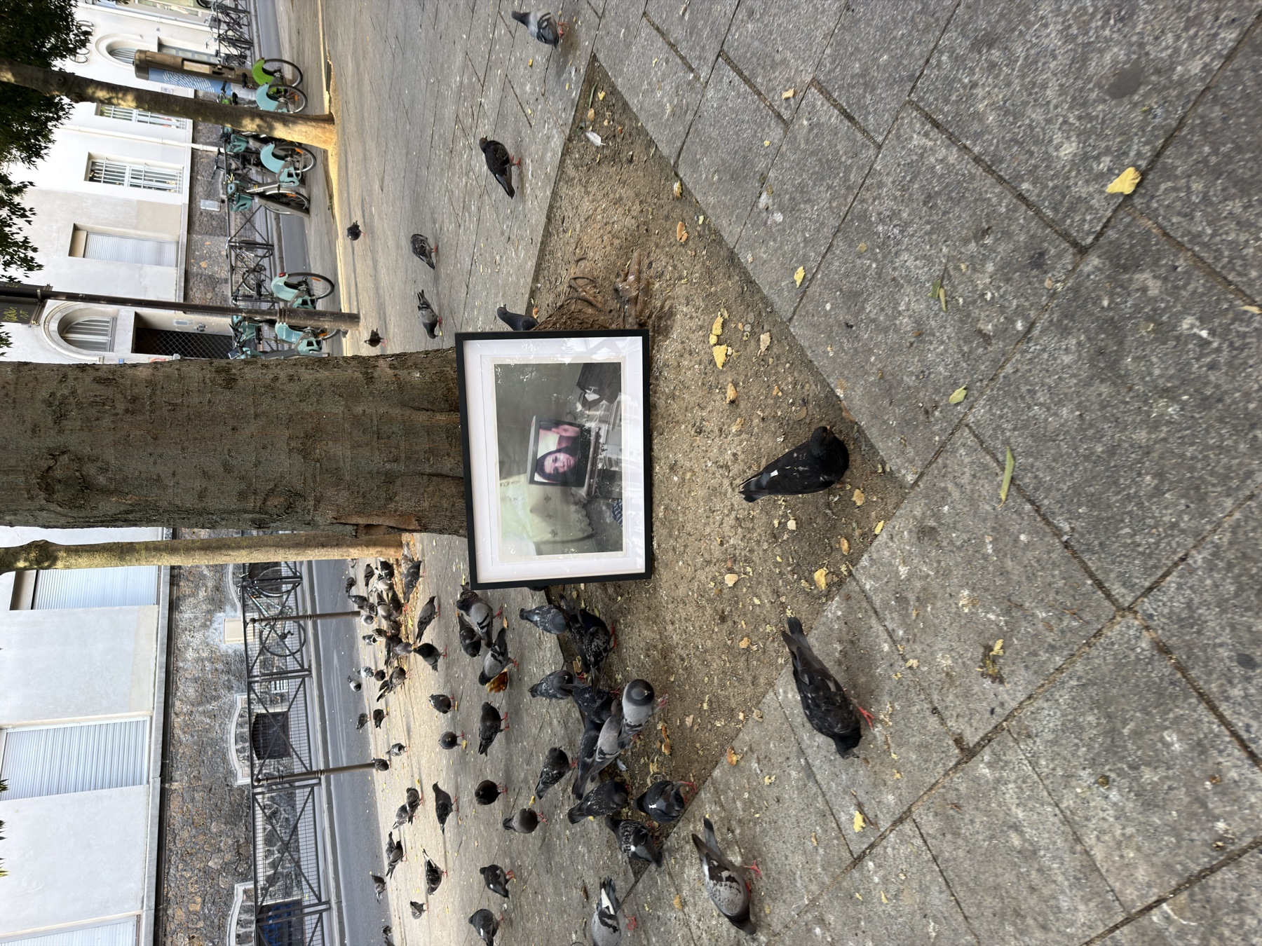 Salome Villeneuve — street